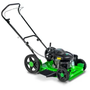 CORTACESPED A NAFTA LF-600RM